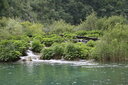 gal/cro 08/_thb_small-IMG_5693.JPG